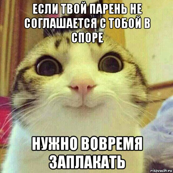 если твой парень не соглашается с тобой в споре нужно вовремя заплакать, Мем       Котяка-улыбака