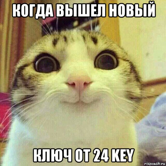 когда вышел новый ключ от 24 key, Мем       Котяка-улыбака