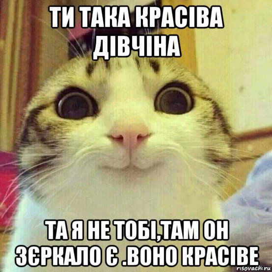 ти така красіва дівчіна та я не тобі,там он зєркало є .воно красіве, Мем       Котяка-улыбака