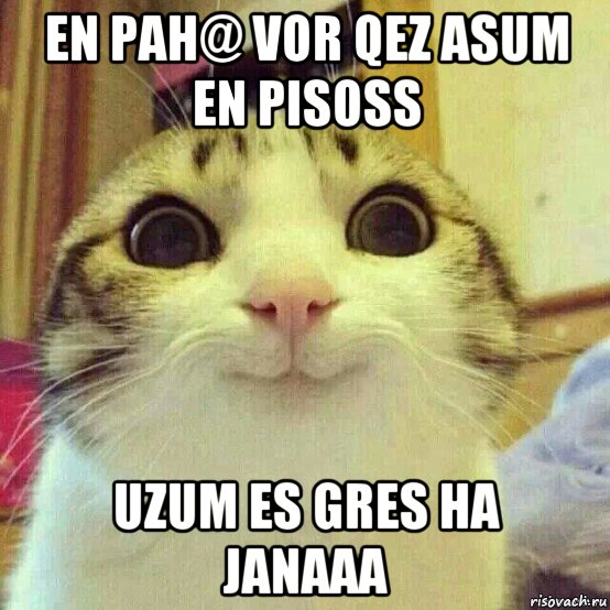 en pah@ vor qez asum en pisoss uzum es gres ha janaaa, Мем       Котяка-улыбака