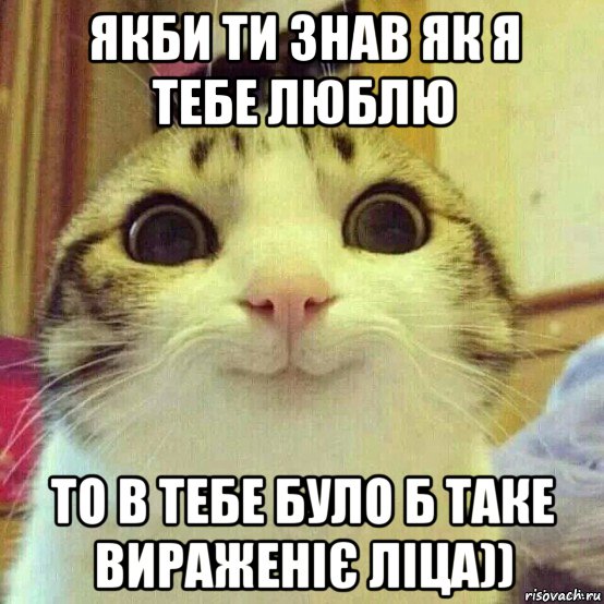 якби ти знав як я тебе люблю то в тебе було б таке вираженіє ліца)), Мем       Котяка-улыбака