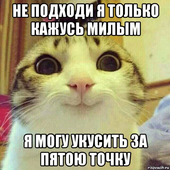 не подходи я только кажусь милым я могу укусить за пятою точку, Мем       Котяка-улыбака