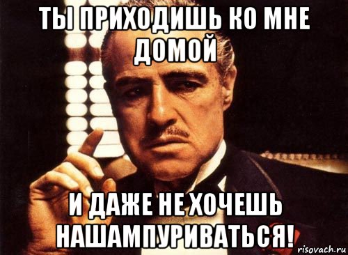 ты приходишь ко мне домой и даже не хочешь нашампуриваться!, Мем крестный отец