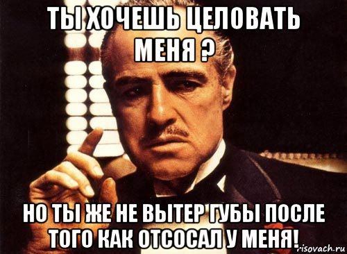 ты хочешь целовать меня ? но ты же не вытер губы после того как отсосал у меня!, Мем крестный отец