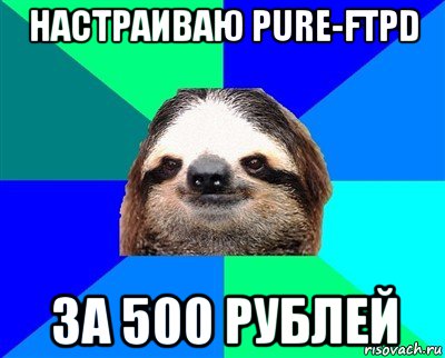 настраиваю pure-ftpd за 500 рублей, Мем Ленивец