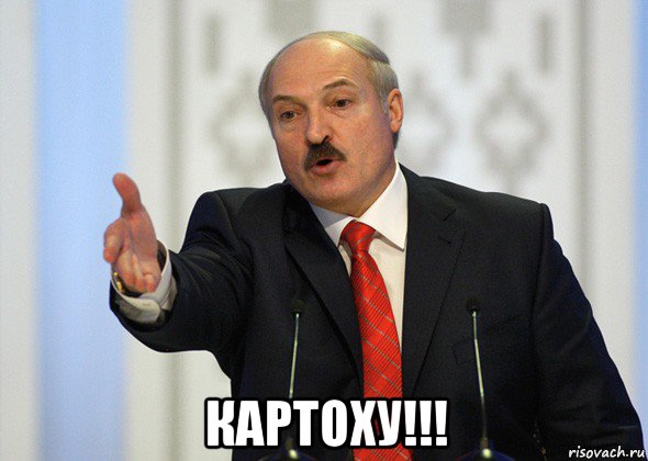  картоху!!!, Мем лукашенко