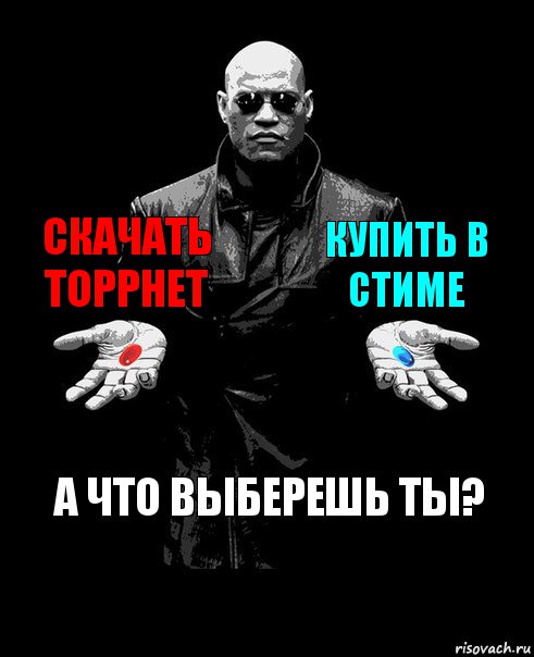 Скачать торрнет Купить в Стиме А что выберешь ты?