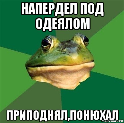 напердел под одеялом приподнял,понюхал, Мем  Мерзкая жаба