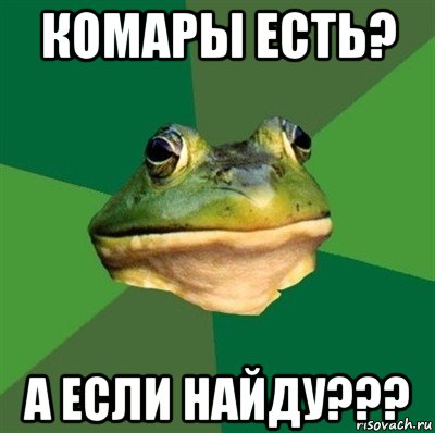 комары есть? а если найду???, Мем  Мерзкая жаба