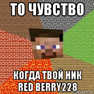 то чувство когда твой ник red berry228, Мем Миникрафтер