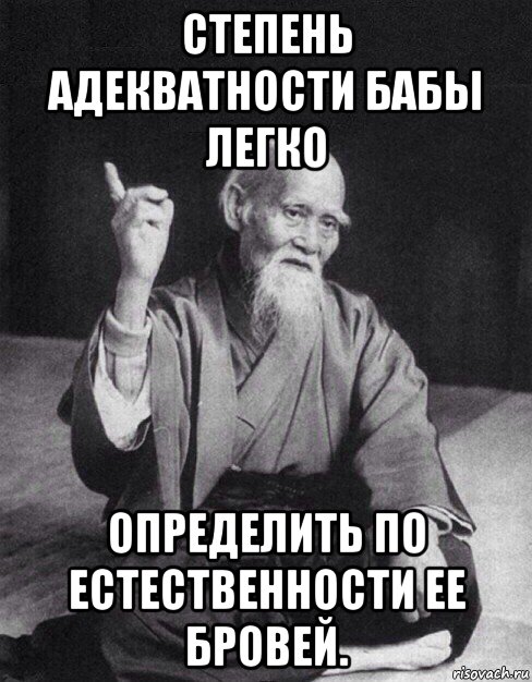 степень адекватности бабы легко определить по естественности ее бровей., Мем Монах-мудрец (сэнсей)