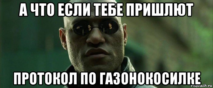 а что если тебе пришлют протокол по газонокосилке, Мем  морфеус