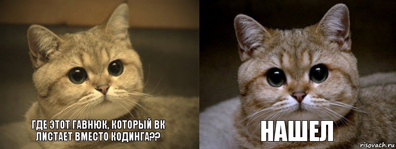 Где этот гавнюк, который вк листает вместо кодинга?? Нашел, Комикс мудак