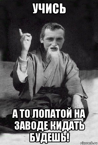 учись а то лопатой на заводе кидать будешь!, Мем Мудрий паца