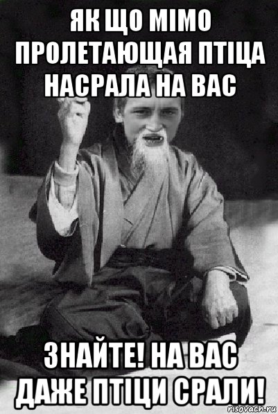 як що мiмо пролетающая птiца насрала на вас знайте! на вас даже птiци срали!, Мем Мудрий паца