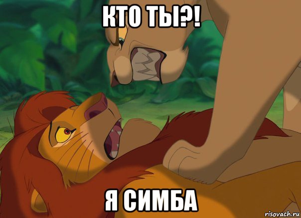 кто ты?! я симба