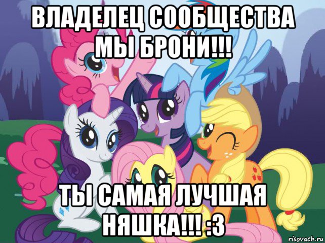 владелец сообщества мы брони!!! ты самая лучшая няшка!!! :3, Мем My little pony