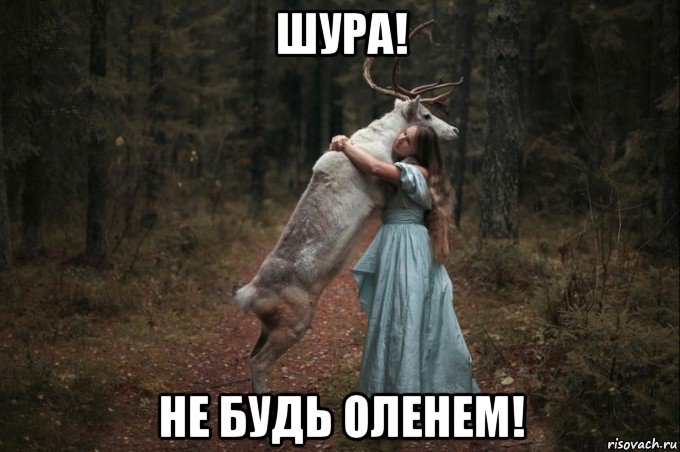 шура! не будь оленем!, Мем Наивный Олень шаблон 5