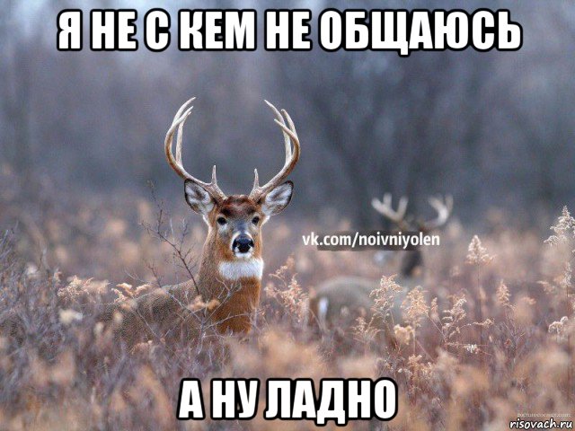 я не с кем не общаюсь а ну ладно, Мем Наивный Олень vk