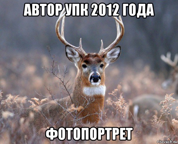 автор упк 2012 года фотопортрет, Мем   Наивный олень