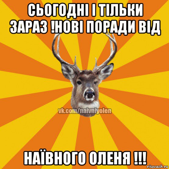 сьогодні і тільки зараз !нові поради від наївного оленя !!!, Мем Наивный Олень вк