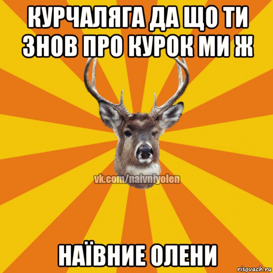 курчаляга да що ти знов про курок ми ж наївние олени, Мем Наивный Олень вк