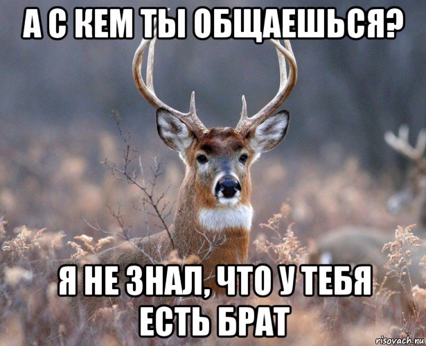 а с кем ты общаешься? я не знал, что у тебя есть брат, Мем   Наивный олень