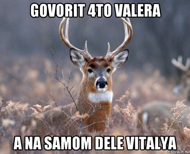 govorit 4to valera a na samom dele vitalya