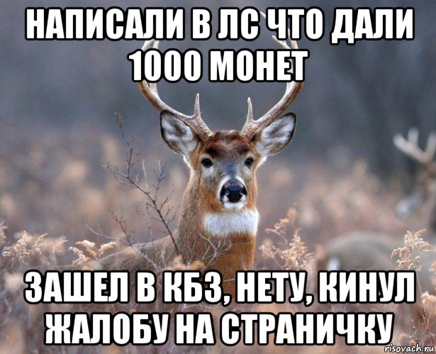 написали в лс что дали 1000 монет зашел в кбз, нету, кинул жалобу на страничку, Мем   Наивный олень