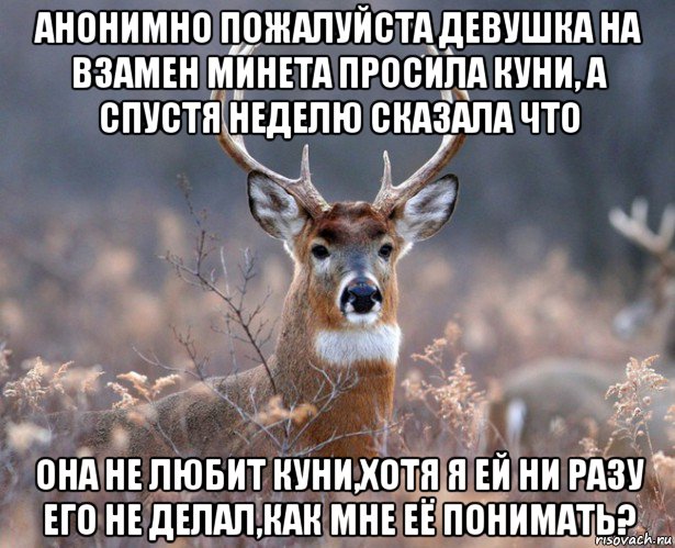 анонимно пожалуйста девушка на взамен минета просила куни, а спустя неделю сказала что она не любит куни,хотя я ей ни разу его не делал,как мне её понимать?, Мем   Наивный олень