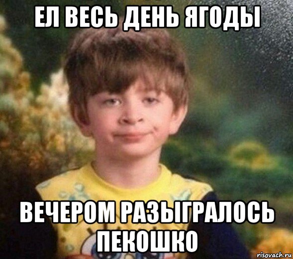 ел весь день ягоды вечером разыгралось пекошко, Мем Недовольный пацан