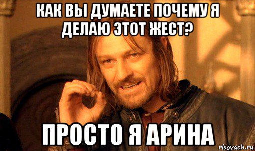 как вы думаете почему я делаю этот жест? просто я арина, Мем Нельзя просто так взять и (Боромир мем)