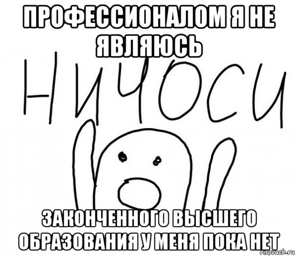 профессионалом я не являюсь законченного высшего образования у меня пока нет, Мем  Ничоси