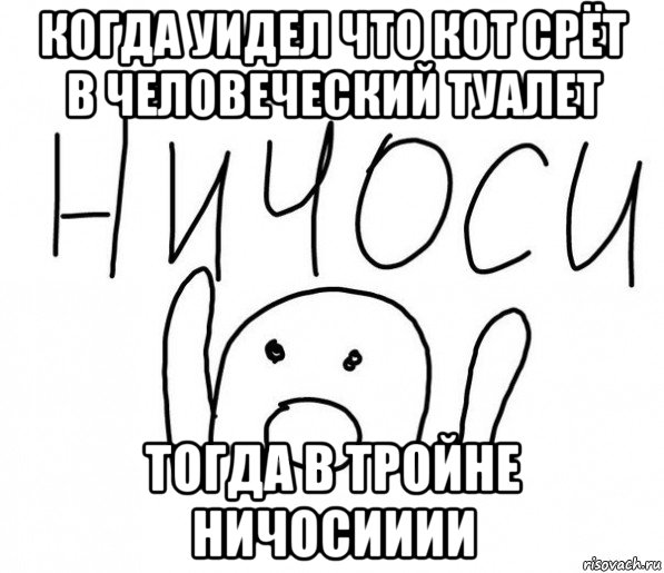 когда уидел что кот срёт в человеческий туалет тогда в тройне ничосииии, Мем  Ничоси