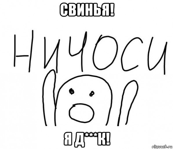 свинья! я д***к!, Мем  Ничоси