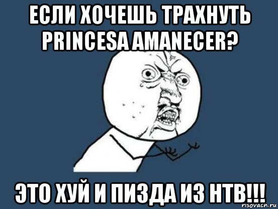 если хочешь трахнуть princesa amanecer? это хуй и пизда из нтв!!!, Мем Ну почему