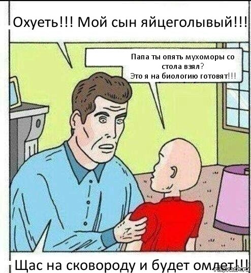 Охуеть!!! Мой сын яйцеголывый!!! Папа ты опять мухоморы со стола взял?
Это я на биологию готовят!!! Щас на сковороду и будет омлет!!!, Комикс   ОБоже