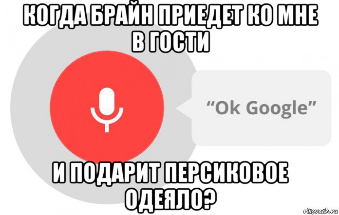 когда брайн приедет ко мне в гости и подарит персиковое одеяло?, Мем  Окей гугл