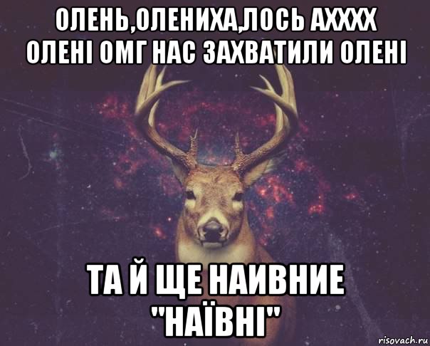 олень,олениха,лось ахххх олені омг нас захватили олені та й ще наивние "наївні", Мем  олень наивный