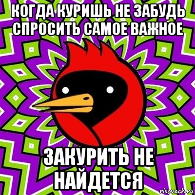 когда куришь не забудь спросить самое важное закурить не найдется, Мем Омская птица