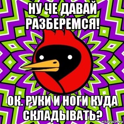 ну че давай разберемся! ок. руки и ноги куда складывать?, Мем Омская птица