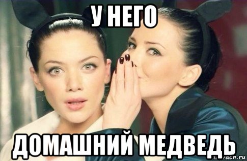 у него домашний медведь, Мем  Он