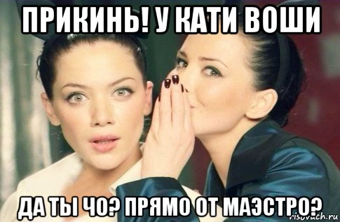 прикинь! у кати воши да ты чо? прямо от маэстро?, Мем  Он