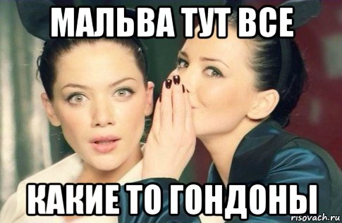 мальва тут все какие то гондоны, Мем  Он