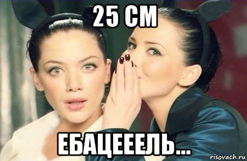 25 см ебацееель..., Мем  Он