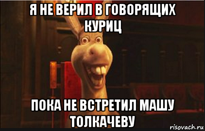 я не верил в говорящих куриц пока не встретил машу толкачеву, Мем Осел из Шрека