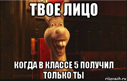 твое лицо когда в классе 5 получил только ты, Мем Осел из Шрека