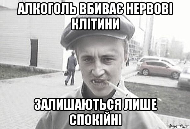 алкоголь вбиває нервові клітини залишаються лише спокійні, Мем Пацанська философия