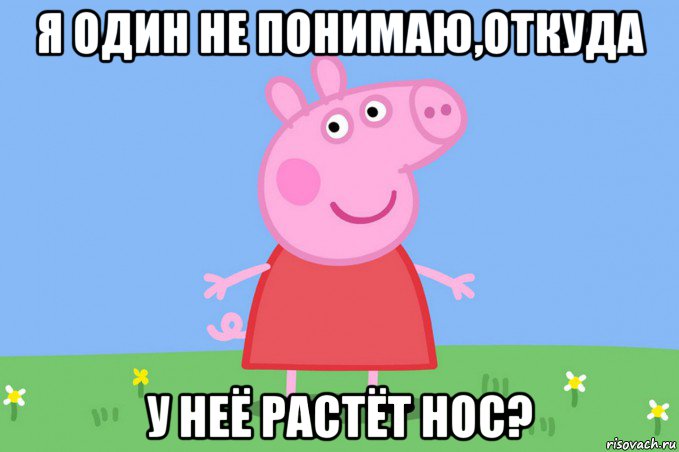 я один не понимаю,откуда у неё растёт нос?, Мем Пеппа