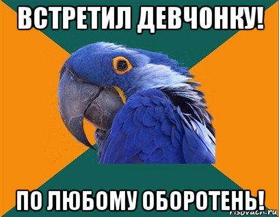 встретил девчонку! по любому оборотень!, Мем Попугай параноик